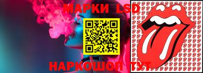 гашик Боровичи