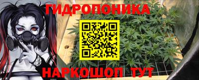 гашик Боровичи
