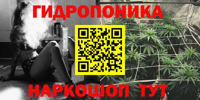 spice Брянск