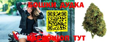 гашик Боровичи