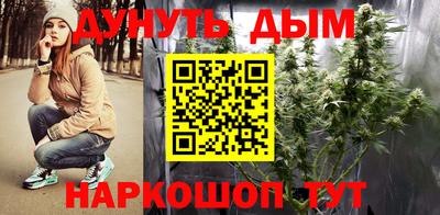 гашик Боровичи