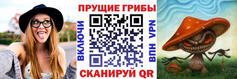 где купить наркотик  Бор  Галлюциногенные грибы MAGIC MUSHROOMS 